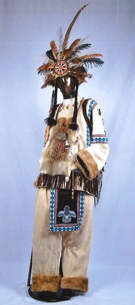 297 Indien loup gris