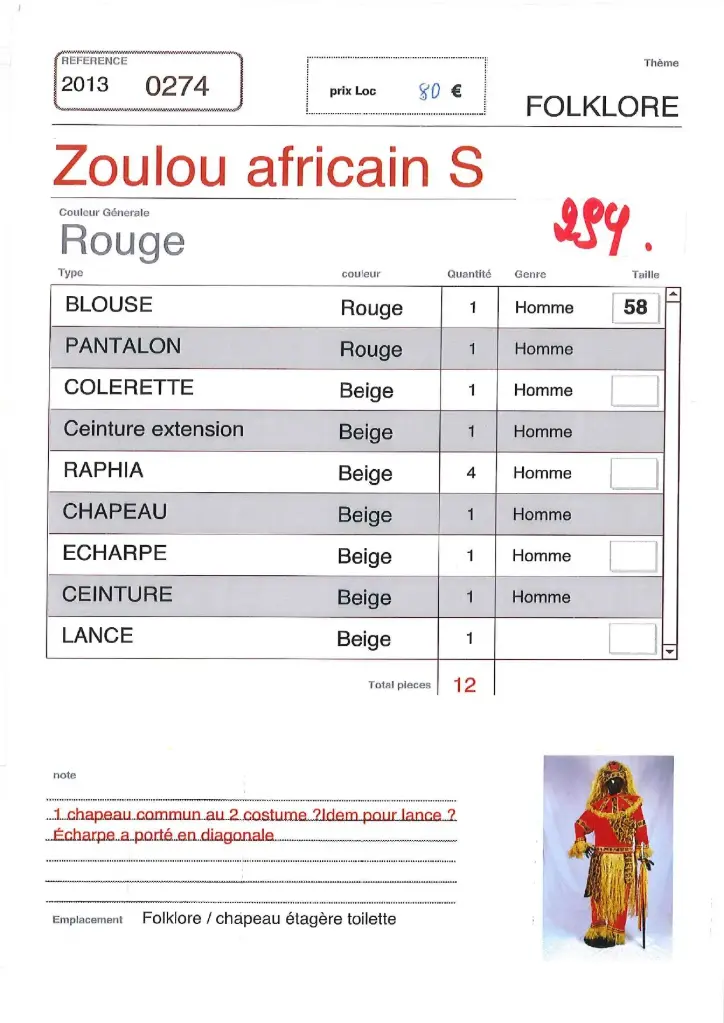 293 Zoulou africain l